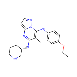 CCOc1ccc(Nc2c(C)c(N[C@H]3CCCNC3)nc3ccnn23)cc1 ZINC000058633578