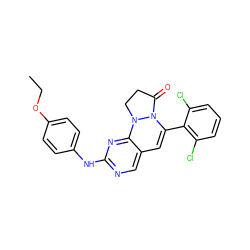 CCOc1ccc(Nc2ncc3c(n2)N2CCC(=O)N2C(c2c(Cl)cccc2Cl)=C3)cc1 ZINC000036187662