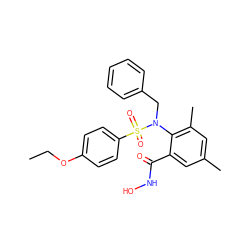 CCOc1ccc(S(=O)(=O)N(Cc2ccccc2)c2c(C)cc(C)cc2C(=O)NO)cc1 ZINC000026290446