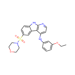 CCOc1cccc(Nc2ccnc3[nH]c4ccc(S(=O)(=O)N5CCOCC5)cc4c23)c1 ZINC000103297562