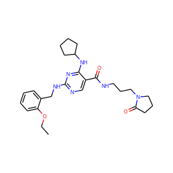 CCOc1ccccc1CNc1ncc(C(=O)NCCCN2CCCC2=O)c(NC2CCCC2)n1 ZINC000095595344