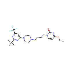 CCOc1ccn(CCCCN2CCN(c3cc(C(F)(F)F)nc(C(C)(C)C)n3)CC2)c(=O)n1 ZINC000028569167