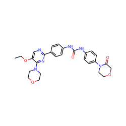 CCOc1cnc(-c2ccc(NC(=O)Nc3ccc(N4CCOCC4=O)cc3)cc2)nc1N1CCOCC1 ZINC000118219657