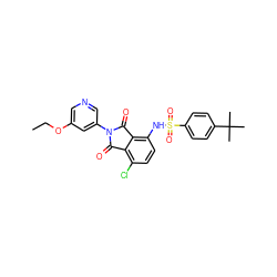 CCOc1cncc(N2C(=O)c3c(Cl)ccc(NS(=O)(=O)c4ccc(C(C)(C)C)cc4)c3C2=O)c1 ZINC000653845096