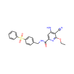 CCOc1nc(C(=O)NCc2ccc(S(=O)(=O)c3ccccc3)cc2)cc(N)c1C#N ZINC000028888139