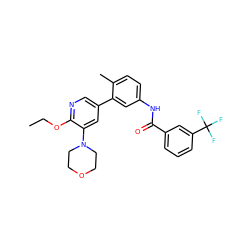 CCOc1ncc(-c2cc(NC(=O)c3cccc(C(F)(F)F)c3)ccc2C)cc1N1CCOCC1 ZINC000220739322