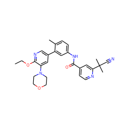 CCOc1ncc(-c2cc(NC(=O)c3ccnc(C(C)(C)C#N)c3)ccc2C)cc1N1CCOCC1 ZINC000226012133