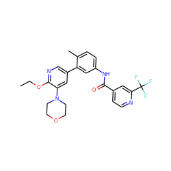 CCOc1ncc(-c2cc(NC(=O)c3ccnc(C(F)(F)F)c3)ccc2C)cc1N1CCOCC1 ZINC000225972227