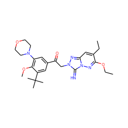 CCOc1nn2c(=N)n(CC(=O)c3cc(N4CCOCC4)c(OC)c(C(C)(C)C)c3)nc2cc1CC ZINC000115496245