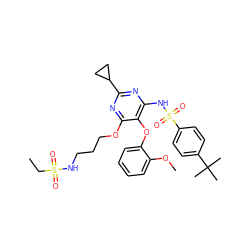 CCS(=O)(=O)NCCCOc1nc(C2CC2)nc(NS(=O)(=O)c2ccc(C(C)(C)C)cc2)c1Oc1ccccc1OC ZINC000028087576