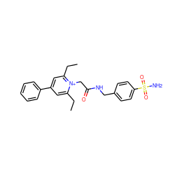 CCc1cc(-c2ccccc2)cc(CC)[n+]1CC(=O)NCc1ccc(S(N)(=O)=O)cc1 ZINC000013804313