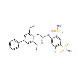 CCc1cc(-c2ccccc2)cc(CC)[n+]1CC(=O)Nc1cc(Cl)c(S(N)(=O)=O)cc1S(N)(=O)=O ZINC000026816595