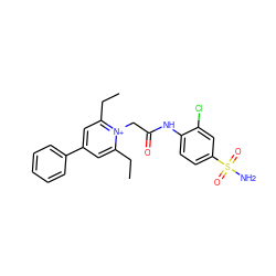 CCc1cc(-c2ccccc2)cc(CC)[n+]1CC(=O)Nc1ccc(S(N)(=O)=O)cc1Cl ZINC000013804344