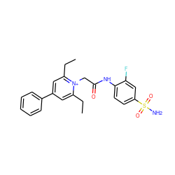 CCc1cc(-c2ccccc2)cc(CC)[n+]1CC(=O)Nc1ccc(S(N)(=O)=O)cc1F ZINC000013804334