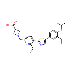 CCc1cc(-c2cnc(-c3ccc(CN4CC(C(=O)O)C4)nc3CC)s2)ccc1OC(C)C ZINC000084617054