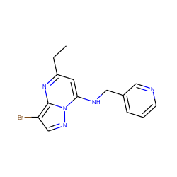 CCc1cc(NCc2cccnc2)n2ncc(Br)c2n1 ZINC000028958818