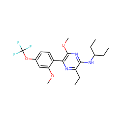 CCc1nc(-c2ccc(OC(F)(F)F)cc2OC)c(OC)nc1NC(CC)CC ZINC000038467746