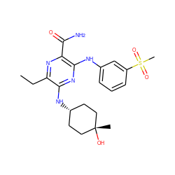 CCc1nc(C(N)=O)c(Nc2cccc(S(C)(=O)=O)c2)nc1N[C@H]1CC[C@@](C)(O)CC1 ZINC000113482788