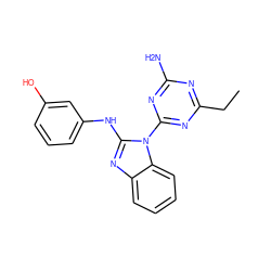 CCc1nc(N)nc(-n2c(Nc3cccc(O)c3)nc3ccccc32)n1 ZINC000071317074