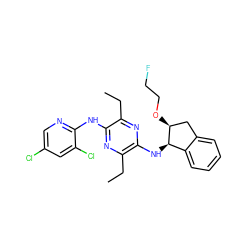 CCc1nc(N[C@@H]2c3ccccc3C[C@@H]2OCCF)c(CC)nc1Nc1ncc(Cl)cc1Cl ZINC000028956502