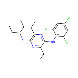 CCc1nc(NC(CC)CC)c(CC)nc1Nc1c(Cl)cc(Cl)cc1Cl ZINC000028956159