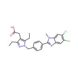 CCc1nn(Cc2ccc(-c3nc4cc(Cl)c(Cl)cc4n3C)cc2)c(CC)c1CC(=O)O ZINC001772620348