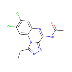 CCc1nnc2c(NC(C)=O)nc3cc(Cl)c(Cl)cc3n12 ZINC000026375972