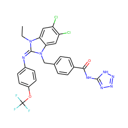 CCn1/c(=N/c2ccc(OC(F)(F)F)cc2)n(Cc2ccc(C(=O)Nc3nnn[nH]3)cc2)c2cc(Cl)c(Cl)cc21 ZINC000101455494