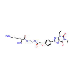 CCn1c(=O)c2[nH]c(-c3ccc(OCC(=O)NCCNC(=O)[C@@H](N)CCCCN)cc3)nc2n(CC)c1=O ZINC000026276041