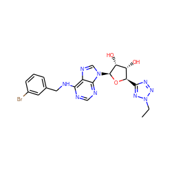 CCn1nnc([C@H]2O[C@@H](n3cnc4c(NCc5cccc(Br)c5)ncnc43)[C@H](O)[C@@H]2O)n1 ZINC001772651075