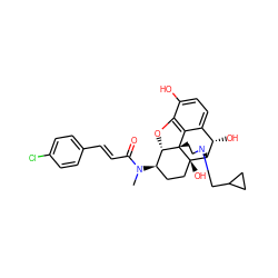 CN(C(=O)/C=C/c1ccc(Cl)cc1)[C@@H]1CC[C@@]2(O)[C@H]3[C@@H](O)c4ccc(O)c5c4[C@@]2(CCN3CC2CC2)[C@H]1O5 ZINC001772628361