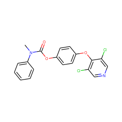 CN(C(=O)Oc1ccc(Oc2c(Cl)cncc2Cl)cc1)c1ccccc1 ZINC000028826631