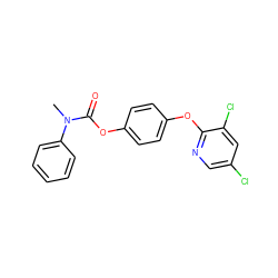 CN(C(=O)Oc1ccc(Oc2ncc(Cl)cc2Cl)cc1)c1ccccc1 ZINC000028826581