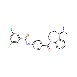 CN(C)[C@@H]1CCCN(C(=O)c2ccc(NC(=O)c3cc(Cl)cc(Cl)c3)cc2)c2ccccc21 ZINC000013758033