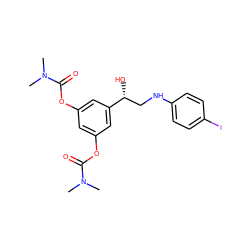 CN(C)C(=O)Oc1cc(OC(=O)N(C)C)cc([C@H](O)CNc2ccc(I)cc2)c1 ZINC001772651037