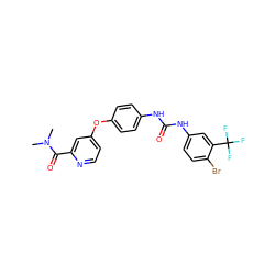 CN(C)C(=O)c1cc(Oc2ccc(NC(=O)Nc3ccc(Br)c(C(F)(F)F)c3)cc2)ccn1 ZINC000027876421