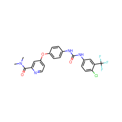 CN(C)C(=O)c1cc(Oc2ccc(NC(=O)Nc3ccc(Cl)c(C(F)(F)F)c3)cc2)ccn1 ZINC000013589529