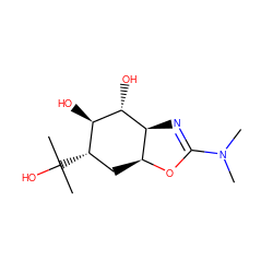 CN(C)C1=N[C@H]2[C@H](C[C@H](C(C)(C)O)[C@@H](O)[C@@H]2O)O1 ZINC000205672923