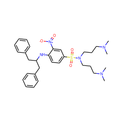 CN(C)CCCN(CCCN(C)C)S(=O)(=O)c1ccc(NC(Cc2ccccc2)Cc2ccccc2)c([N+](=O)[O-])c1 ZINC000028361706