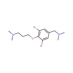 CN(C)CCCOc1c(Br)cc(CN(C)C)cc1Br ZINC000028570592