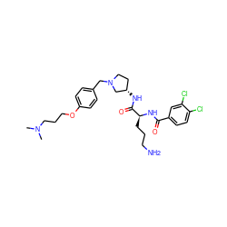 CN(C)CCCOc1ccc(CN2CC[C@H](NC(=O)[C@H](CCCN)NC(=O)c3ccc(Cl)c(Cl)c3)C2)cc1 ZINC000028468469