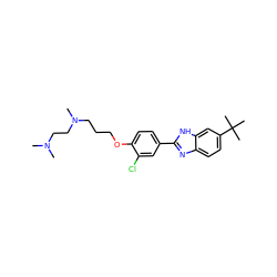 CN(C)CCN(C)CCCOc1ccc(-c2nc3ccc(C(C)(C)C)cc3[nH]2)cc1Cl ZINC000049037533