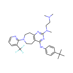 CN(C)CCN(C)c1nc2c(c(Nc3ccc(C(C)(C)C)cc3)n1)CCN(c1ncccc1C(F)(F)F)CC2 ZINC000168724273