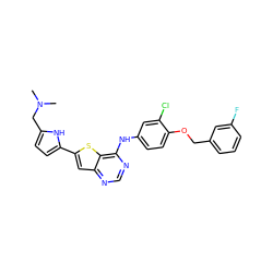 CN(C)Cc1ccc(-c2cc3ncnc(Nc4ccc(OCc5cccc(F)c5)c(Cl)c4)c3s2)[nH]1 ZINC000040404368