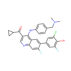 CN(C)Cc1ccc(Nc2c(C(=O)C3CC3)cnc3cc(F)c(-c4cc(F)c(O)c(Cl)c4)cc23)cc1 ZINC000114036405