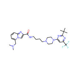 CN(C)Cc1cccc2nc(C(=O)NCCCCN3CCN(c4cc(C(F)(F)F)nc(C(C)(C)C)n4)CC3)cn12 ZINC000299828521