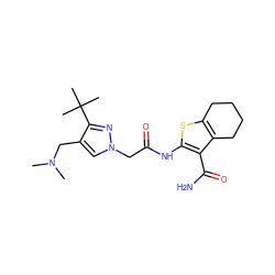 CN(C)Cc1cn(CC(=O)Nc2sc3c(c2C(N)=O)CCCC3)nc1C(C)(C)C ZINC000064539928