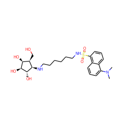 CN(C)c1cccc2c(S(=O)(=O)NCCCCCCN[C@H]3[C@H](O)[C@@H](O)[C@@H](O)[C@H]3CO)cccc12 ZINC001772652816