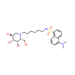 CN(C)c1cccc2c(S(=O)(=O)NCCCCCCN3C[C@H](O)[C@@H](O)[C@@H](O)[C@H]3CO)cccc12 ZINC000028572593