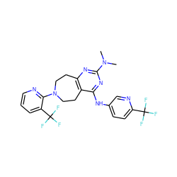 CN(C)c1nc2c(c(Nc3ccc(C(F)(F)F)nc3)n1)CCN(c1ncccc1C(F)(F)F)CC2 ZINC000145004045